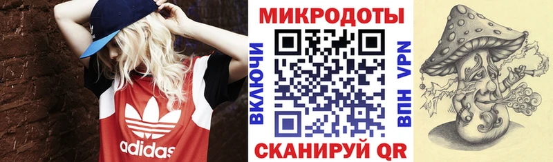 Галлюциногенные грибы Psilocybe  Калининград 